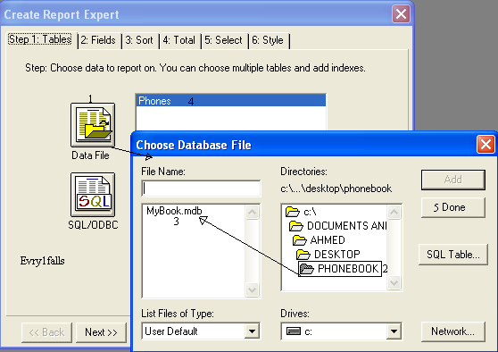 Access 2003 with Crystal Reports 4.6